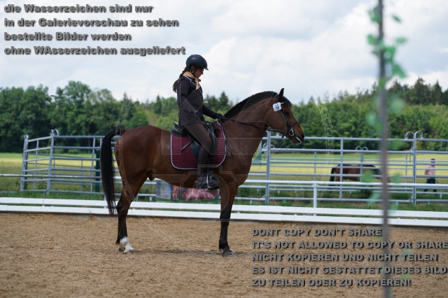 s_K3F04455.JPG